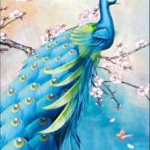 Павлин с голубыми перьями