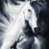 Белый конь на черном фоне