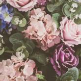 Розы с фиолетовыми цветами