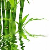 Вода бамбук