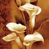 Белые цветы на коричневом фоне