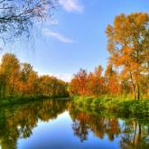 Осенний лес по берегам реки