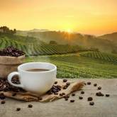 Чашка кофе на фоне утра на поле