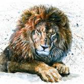 Лев в красках